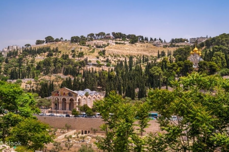 Jerusalem Mount of Olives & Temple Mount Tour